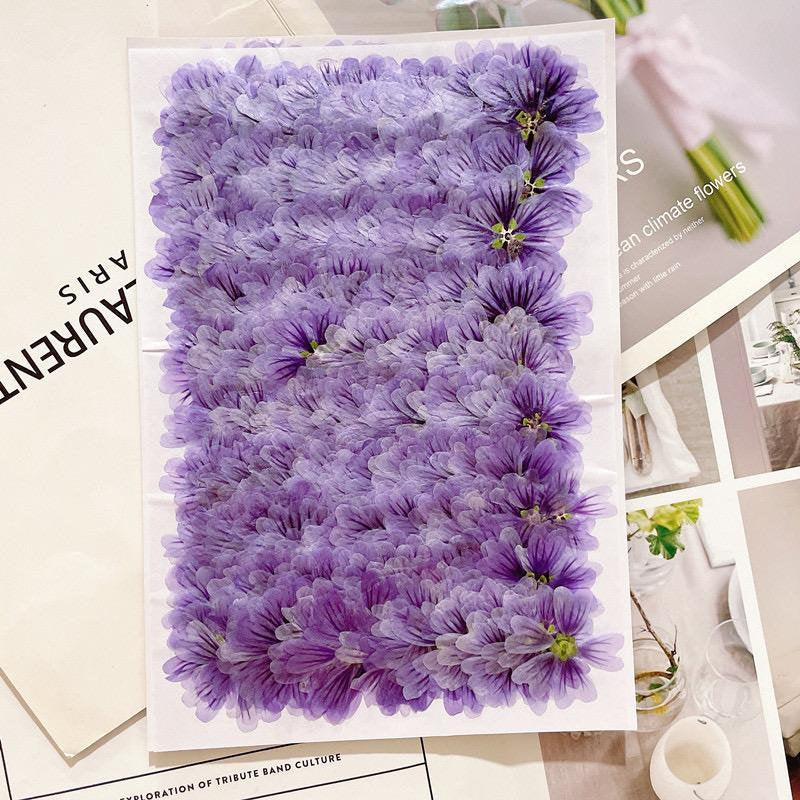 20 PCS (5-8CM) Pressed Purple Flower Pressed Dried Malva Flower, Real Purple pressed Flower, Pressed Flat Flower, Dried Mallow Flower