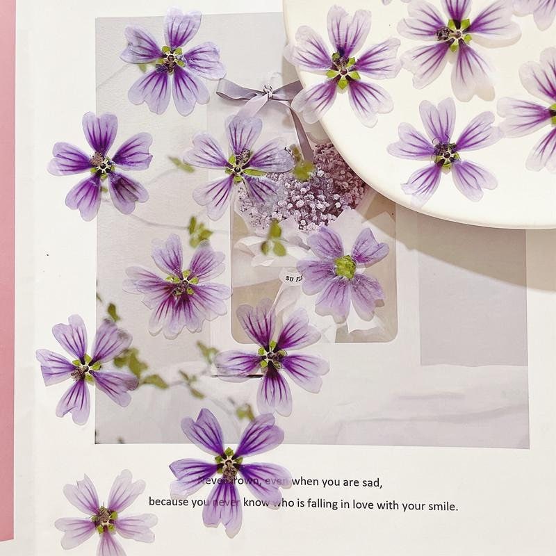 20 PCS (5-8CM) Pressed Purple Flower Pressed Dried Malva Flower, Real Purple pressed Flower, Pressed Flat Flower, Dried Mallow Flower