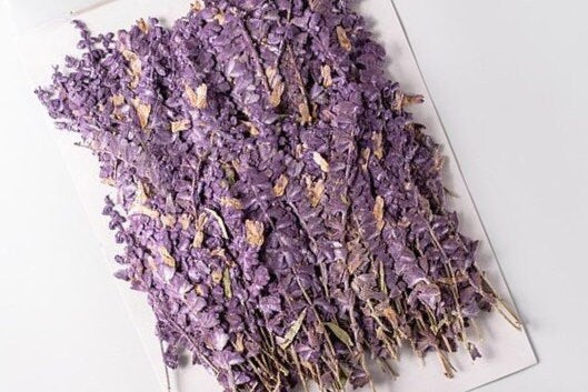 20 PCS Set (5-8CM) Pressed Dried Purple Salvia Flower Stems, Real Pressed Dried Flowers, Preserved Dried Real Flowers, Flat Dried Flowers