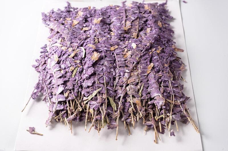 20 PCS Set (5-8CM) Pressed Dried Purple Salvia Flower Stems, Real Pressed Dried Flowers, Preserved Dried Real Flowers, Flat Dried Flowers