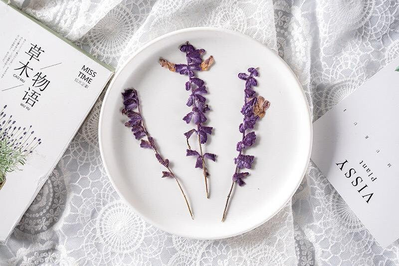 20 PCS Set (5-8CM) Pressed Dried Purple Salvia Flower Stems, Real Pressed Dried Flowers, Preserved Dried Real Flowers, Flat Dried Flowers