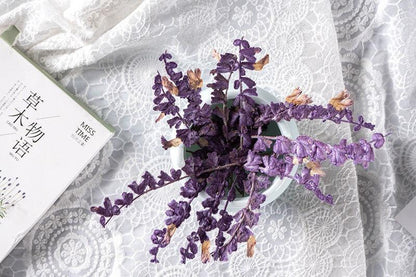 20 PCS Set (5-8CM) Pressed Dried Purple Salvia Flower Stems, Real Pressed Dried Flowers, Preserved Dried Real Flowers, Flat Dried Flowers