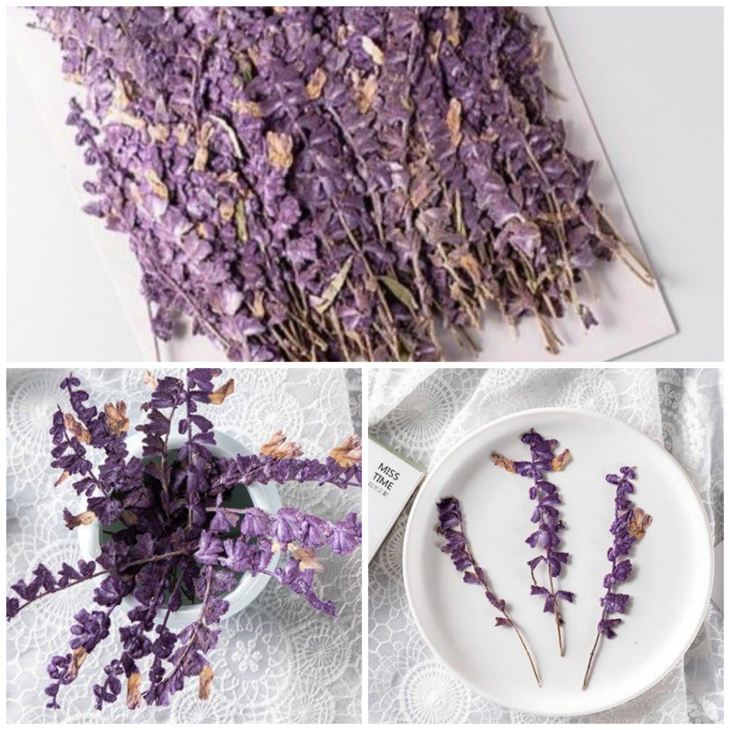 20 PCS Set (5-8CM) Pressed Dried Purple Salvia Flower Stems, Real Pressed Dried Flowers, Preserved Dried Real Flowers, Flat Dried Flowers