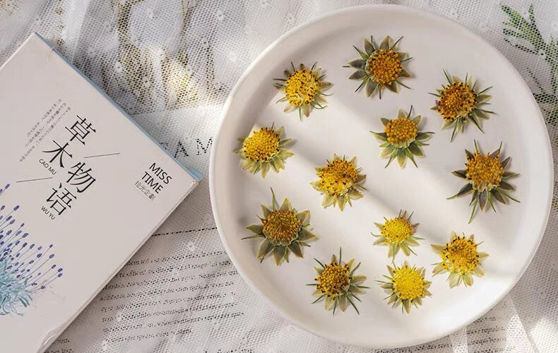 12PCS Set (1-1.5CM) Pressed Cosmos Flower pistil, real dried Flower, Pressed Dried Cosmos Flowers stamen, Small Dried Flat pressed Flowers