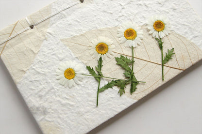 12 PCS Set (5-8CM) Dried Pressed Flowers, Pressed White Daisy Flower Stems, Real White Daisy Dried Flower,Preserved Flat Daisies Flower