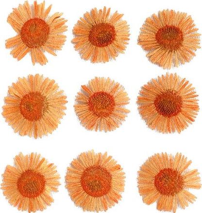 20 PCS/Set (1-1.5cm) Dried Pressed Orange Flower, Preserved Real small Dried Flower, Pressed Dreid Flowers, Pressed Flat Fleabane Flowers