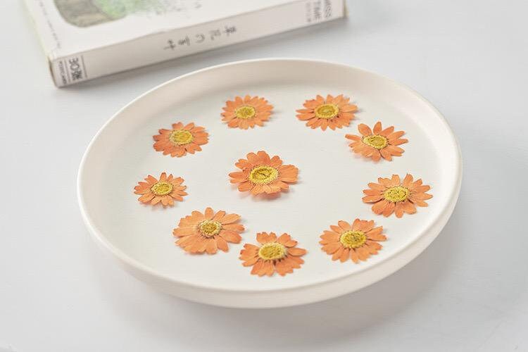 20 PCS/Set (2-3CM) Pressed orange Daisy Flower, Dried Pressed Daisies Flowers, Real Flat Dried Preserved Daisies, real orange Daisy flower