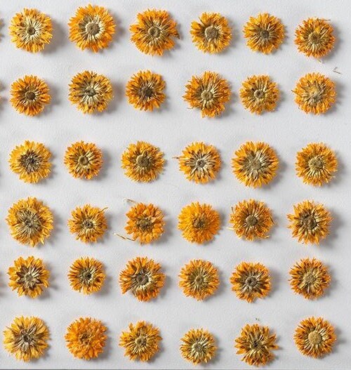 12 PCS/Set (0.5-1cm) Dried Pressed Orange Flower, Preserved Real small Dried Flower, Pressed Dreid Flowers, Tiny Flat Apricot Dried Flower