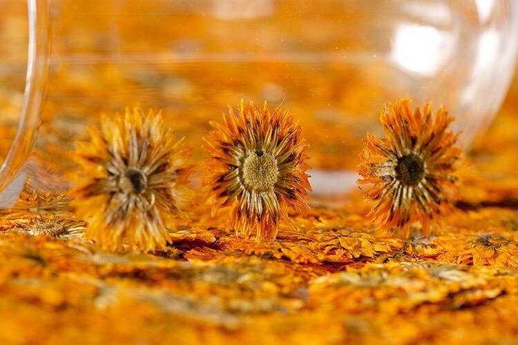 12 PCS/Set (0.5-1cm) Dried Pressed Orange Flower, Preserved Real small Dried Flower, Pressed Dreid Flowers, Tiny Flat Apricot Dried Flower