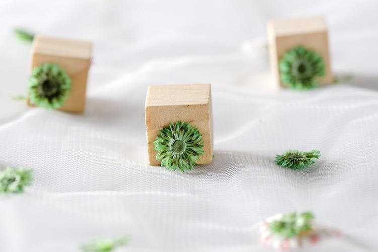 20 PCS Set (0.5CM) Pressed Apricot Flower, Dried Green Tiny Flower, Preservation Real Flowers, Pressed flat Flowers Dried Preserved flower