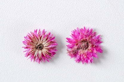 20 PCS Set (0.5-0.8CM) Pressed Flower, Tiny Pink Dried Flower, Real Pressed Apricot Flower, Flat Small Dried Flowers, real dried nail Flower