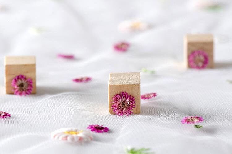 20 PCS Set (0.5-0.8CM) Pressed Flower, Tiny Pink Dried Flower, Real Pressed Apricot Flower, Flat Small Dried Flowers, real dried nail Flower