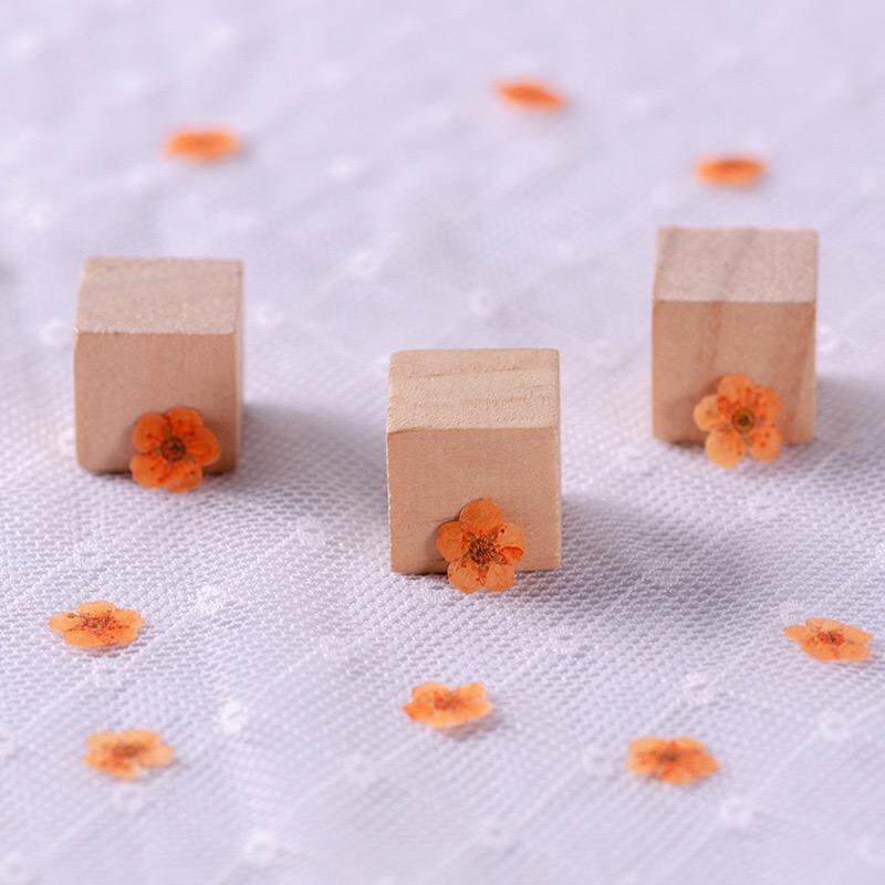 20 PCS/Set (0.5-1cm) Dried Pressed Bridal Wreath Flower, Preserved Real small orange Flower, Pressed Dreid Flowers, Flat Tiny Dried Flower