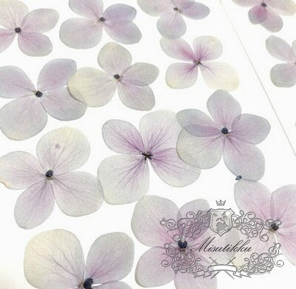 20 PCS Set (2.5-3.5CM) Pressed Hydrangea Dried Flower, Light Purple Dried Hydrangea Flower, Pressed Hydrangea Flower, Real Dried Flat Flower