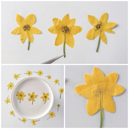 20 PCS Set (4-6CM) Dried Pressed Yellow Daisy Flower Stems, Pressed Flower Stems, Flat real daisy Flowers, Preserved Dried yellow Flower