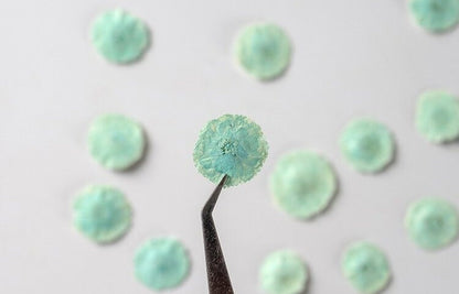 20 PCS Set (1-1.5CM) Dried Pressed Flowers Light Blue Verbena, Natural Pressed Dried Small Flowers, Preserved Real Tiny Pressed Blue Flowers