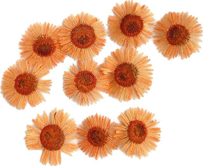 20 PCS/Set (1-1.5cm) Dried Pressed Orange Flower, Preserved Real small Dried Flower, Pressed Dreid Flowers, Pressed Flat Fleabane Flowers