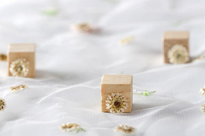 20 PCS Set (1-1.5CM) Pressed Flower, real dried Flower, Ivory White Apricot Flower, Small Preserved Flowers, Tiny White Flower For nails