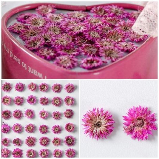 20 PCS Set (0.5-0.8CM) Pressed Flower, Tiny Pink Dried Flower, Real Pressed Apricot Flower, Flat Small Dried Flowers, real dried nail Flower