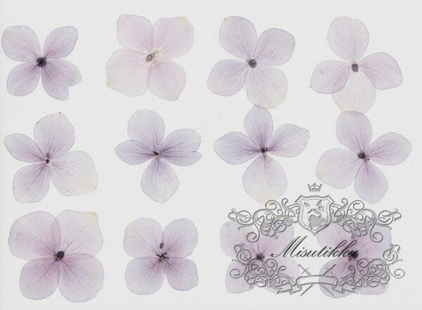 20 PCS Set (2.5-3.5CM) Pressed Hydrangea Dried Flower, Light Purple Dried Hydrangea Flower, Pressed Hydrangea Flower, Real Dried Flat Flower