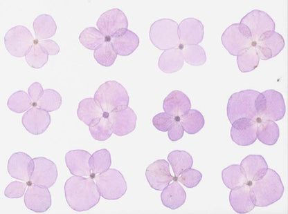 20 PCS Set (2-3CM) Pressed Hydrangea Flowers, Light Purple Dried Flower, Dried Real Flower, Pressed flat Flowers, Real Hydrangea Flowers