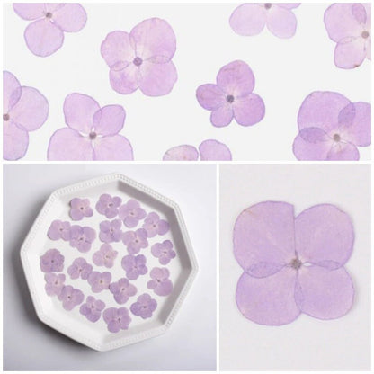 20 PCS Set (2-3CM) Pressed Hydrangea Flowers, Light Purple Dried Flower, Dried Real Flower, Pressed flat Flowers, Real Hydrangea Flowers