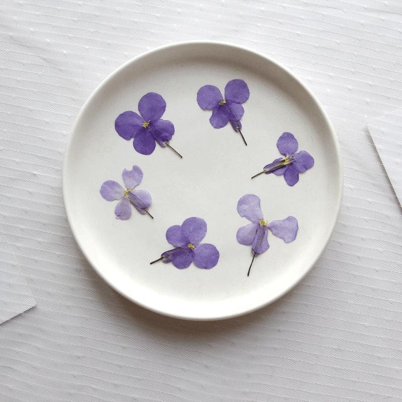 20 PCS Set (2-3CM) Natural Pressed Dried Flower, Small real Dried Pressed Flower, Pressed Purple Flowers, Preserved Dried Flat Flower