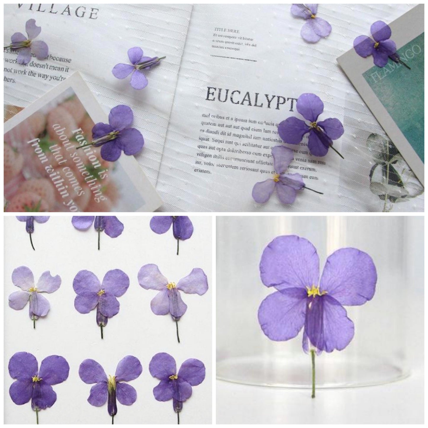 20 PCS Set (2-3CM) Natural Pressed Dried Flower, Small real Dried Pressed Flower, Pressed Purple Flowers, Preserved Dried Flat Flower