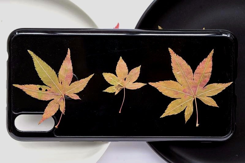 20 PCS Set (4-8CM) Dried Pressed Leaves, Red Pressed Maple leaves, Preserved Dried Real Autumn Maple Leaves, Pressed Flower Flat Leaves