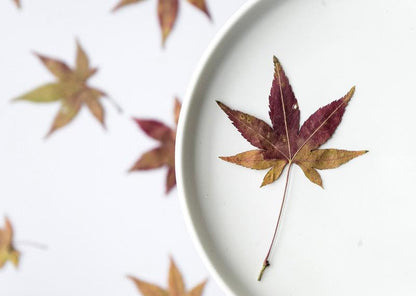 20 PCS Set (4-8CM) Dried Pressed Leaves, Red Pressed Maple leaves, Preserved Dried Real Autumn Maple Leaves, Pressed Flower Flat Leaves