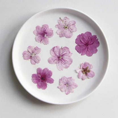 12 PCS Set (3-5CM) Cherry Blossom Pressed Dried Flowers, Dried Pressed Sakura Flower, Real Pressed Pink Flower, Pressed Dried Cherry Blossom