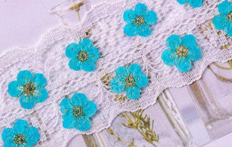 20 PCS Set (0.5-0.8CM) Dried Pressed Flower, Flat Dried Flowers Bridal Wreath, Pressed Blue Flowers, Real Tiny Pressed Flowers for nail art