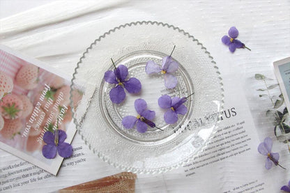 20 PCS Set (2-3CM) Natural Pressed Dried Flower, Small real Dried Pressed Flower, Pressed Purple Flowers, Preserved Dried Flat Flower