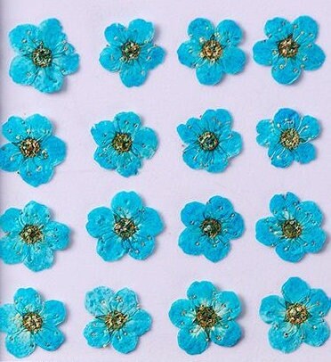 20 PCS Set (0.5-0.8CM) Dried Pressed Flower, Flat Dried Flowers Bridal Wreath, Pressed Blue Flowers, Real Tiny Pressed Flowers for nail art