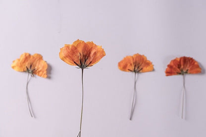 20 PCS Set (4-6CM) Pressed Dried Flower, Real Orange Cosmos Flower Stems, Orange Dried Cosmos buds Flower Stems, Preserved flat Flowers