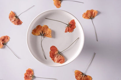 20 PCS Set (4-6CM) Pressed Dried Flower, Real Orange Cosmos Flower Stems, Orange Dried Cosmos buds Flower Stems, Preserved flat Flowers