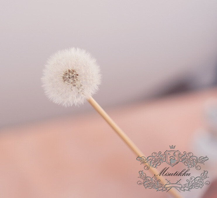 1 PC (4-5CM) Dandelion dried flower, Real Dandelions Flower arrangement eternal flower filler Decorative flower box Centerpiece Wedding