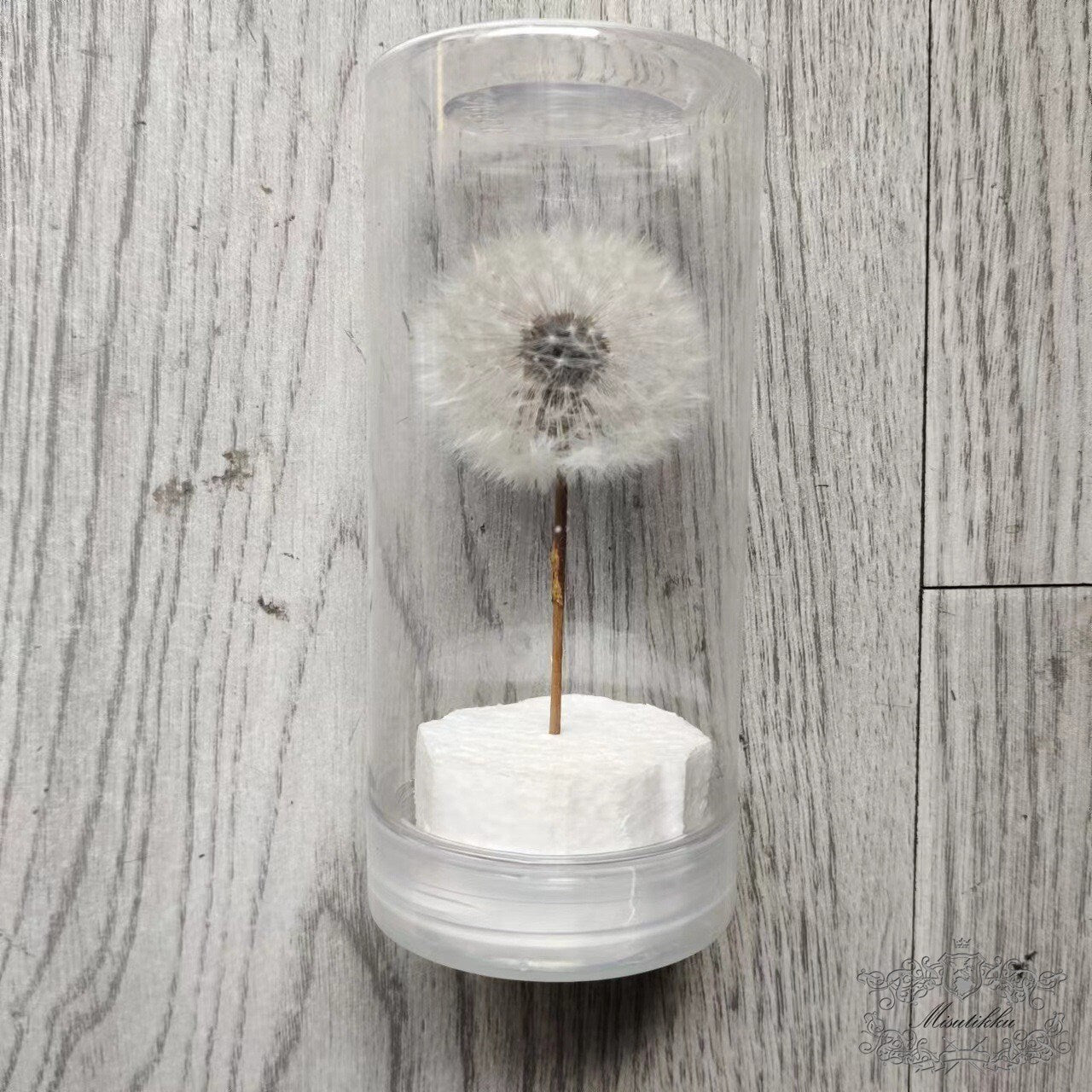 1 PC (4-5CM) Dandelion dried flower, Real Dandelions Flower arrangement eternal flower filler Decorative flower box Centerpiece Wedding