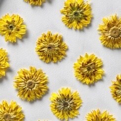 20 PCS (0.8-1.5CM) Pressed Small Dried Flowers, Real Yellow apricot Flower, Pressing Dried Tiny Flower, Preserved Dried Yellow Flat Flowers