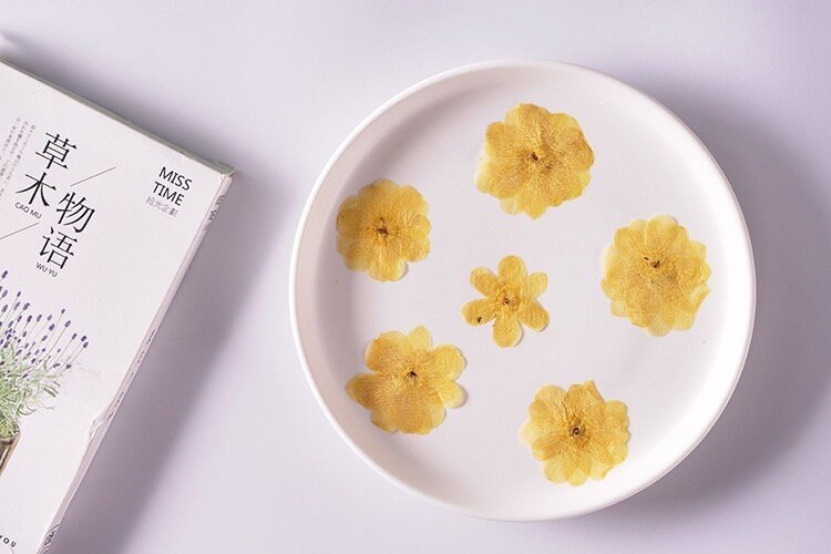 20 PCS Set (3-5CM) Real Dried Yellow Flower, Pressed Dried Flowers, Real Pressed Flat Drird Flower, Preserved Dried Flat real Flower