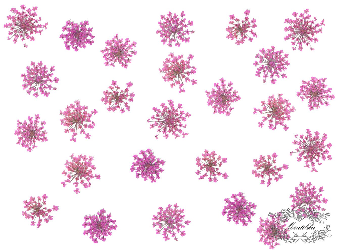 20 PCS/Set (1-2CM) Small Pressed Dried Flowers, Pressed Dried Hot Pink Queen Anne's Lace Flower, Pressed real flat Flowers for nail art